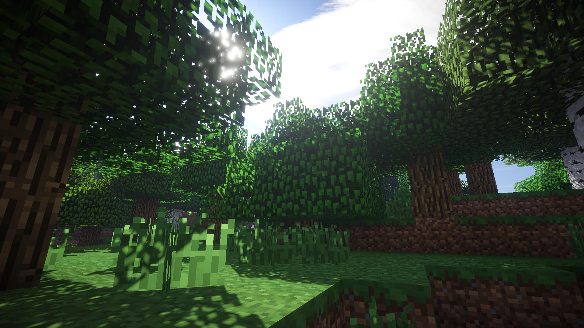 Sonic Ether's Unbelievable Shaders Shader Image 1